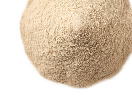 Whey Protein